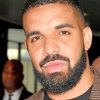 Handsome Drake paint by numbers