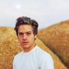 Handsome Dylan Sprouse Paint By Numbers