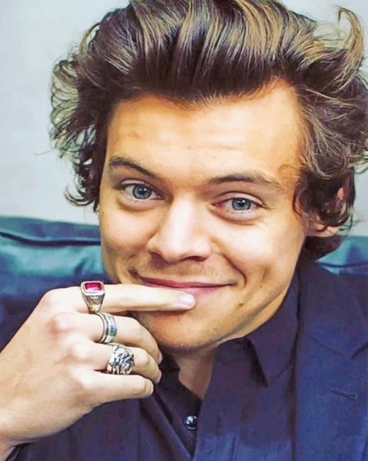 Handsome Harry Edward Styles Paint By numbers