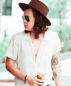 Handsome Harry Paint By Numbers