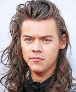 Handsome Harry Styles With Long Hair paint by numbers