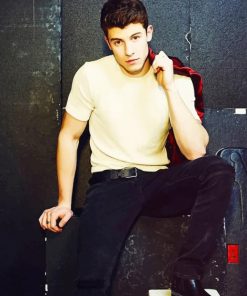 Handsome Shawn Mendes Paint By Numbers