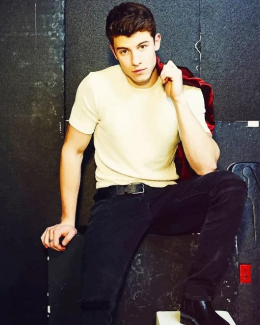 Handsome Shawn Mendes Paint By Numbers