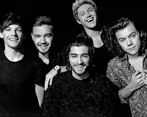 Happy One direction paint By Numbers