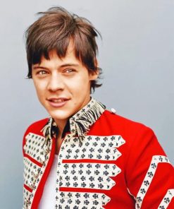Harry styles Another Man Photo Shoot paint By Numbers