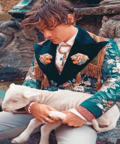 Harry Styles Fashion paint by numbers