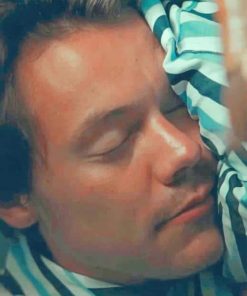 Harry Styles Sleeping Paint By numbers