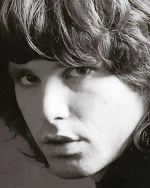 Jim Morrison The Doors paint by number
