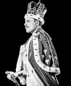 king freddie murcery paint by numbers