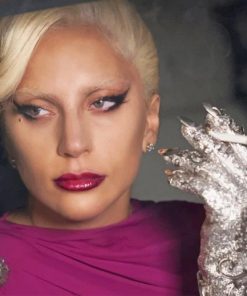 Lady Gaga Paint By Numbers