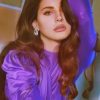 Lana Del Rey Aesthetic Paint By Numbers