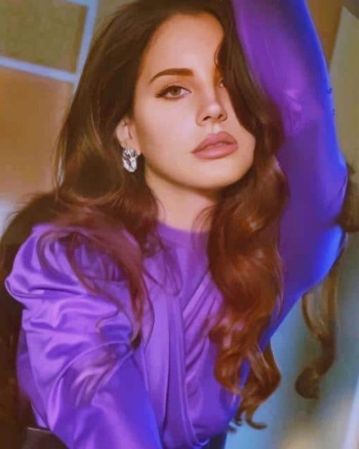 Lana Del Rey Aesthetic Paint By Numbers