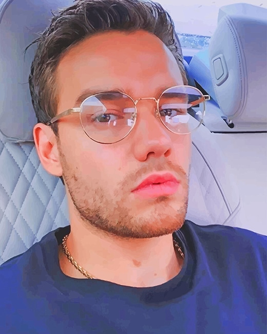 Liam Payne Selfie paint by number
