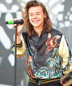 Long Hair Harry Styles paint By Numbers