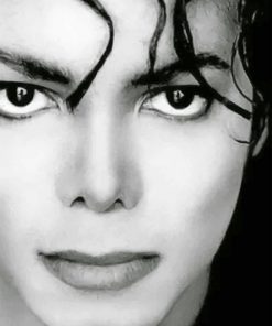 Michael Jackson Black and White - Paint By Numbers
