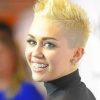 Miley Cyrus with Short Hair paint by numbers
