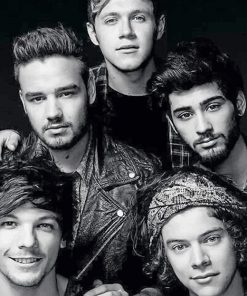 One Direction Black And White Paint By Numbers