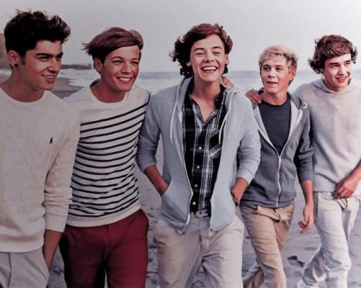 One Direction paint by numbers