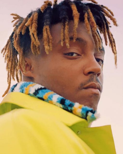 Juice Wrld paint by number