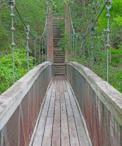 Ravine Walk in Florida paint by numbers