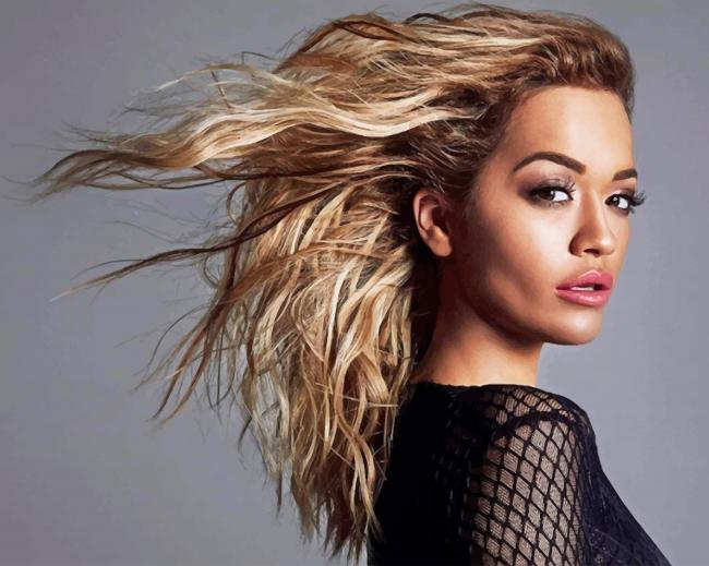 Rita Ora paint by numbers
