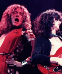 Robert Plant And Jimmy Page paint by number