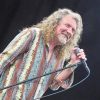 Robert Plant Performing paint by number