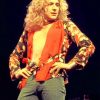 Robert Plant Singing paint by number