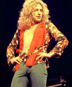 Robert Plant Singing paint by number