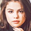 Selena gomez portrait adult paint by numbers
