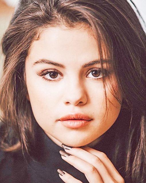 Selena gomez portrait adult paint by numbers