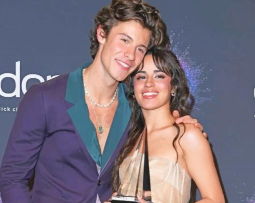 Shawn Mandes and Camila Cabello painty by numbers