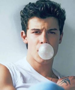Shawn Mendes Bubble Gum Paint By Numbers