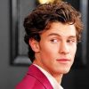Shawn Mendes Handsome Canadian Singer Paint By Numbers