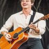 Shawn Mendes Playing Guitar paint by number