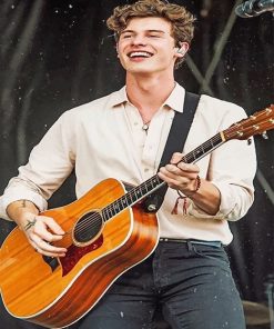 Shawn Mendes Playing Guitar paint by number
