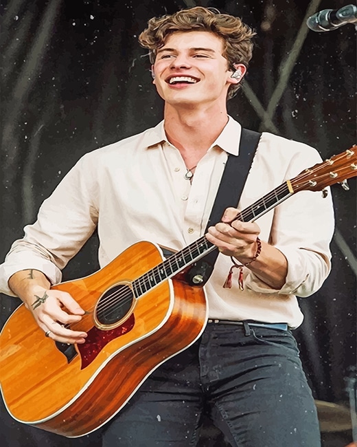 Shawn Mendes Playing Guitar paint by number