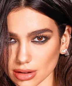 Singer Dua Lipa paint by numbers