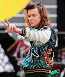Swaggy Harry styles Paint by Numbers