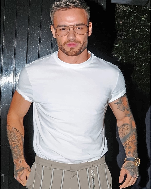 tattooed Liam payne adult paint by numbers