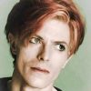 the famous singer david bowie paint by numbers