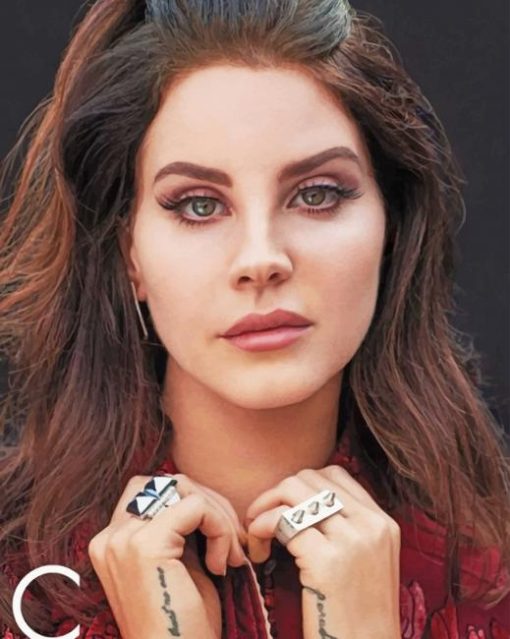 The Famous Singer Lana Del Rey paint by numbers