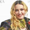 The Pretty Madonna paint by numbers