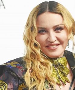 The Pretty Madonna paint by numbers