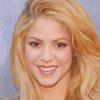 The Pretty Singer Shakira paint by numbers