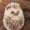 Cute Little Hedgehog paint by numbers