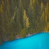 Green Forest paint by numbers