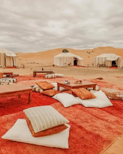Beautiful View In Desert paint by numbers