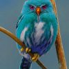 Madagascan Owl paint by numbers
