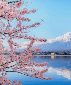 Cherry Blossom Sea Mountain paint by numbers